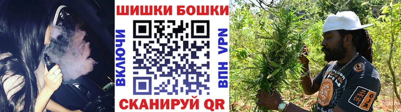 цена наркотик  Новодвинск  Канабис план 